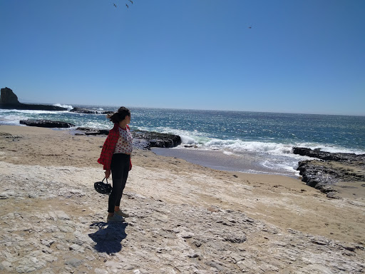 Bicycle Store «Epicenter Cycling», reviews and photos, 1730 Mission St, Santa Cruz, CA 95060, USA