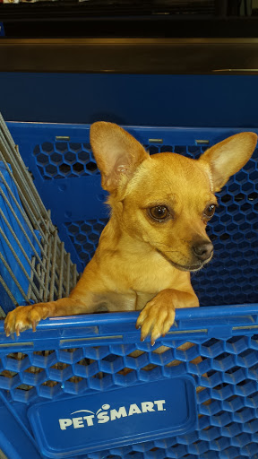 Pet Supply Store «PetSmart», reviews and photos, 815 McDermott Street, Council Bluffs, IA 51501, USA