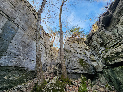 Stone Cut Trail