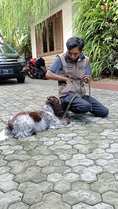 Jakarta Dog School