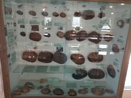 Nature Preserve «Westmoreland Sanctuary», reviews and photos, 260 Chestnut Ridge Rd, Mt Kisco, NY 10549, USA