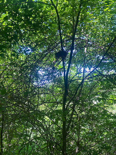 Park «Clayton Park», reviews and photos, 3173 Garnet Mine Rd, Garnet Valley, PA 19060, USA