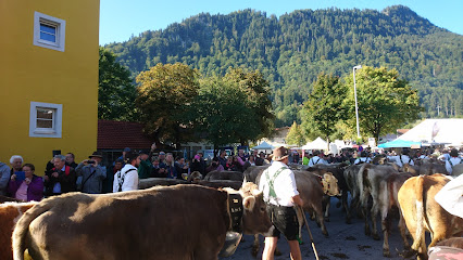 Viehmarktplatz