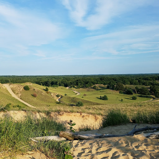 Tourist Attraction «Saugatuck Dune Rides Inc», reviews and photos, 6495 Blue Star Hwy, Saugatuck, MI 49453, USA