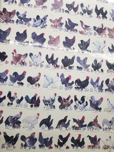 Animal Feed Store «All Pet Feed & Tack», reviews and photos, 25598 E Baseline St, San Bernardino, CA 92410, USA