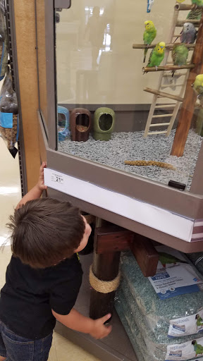 Pet Supply Store «Petco Animal Supplies», reviews and photos, 2450 Monarch Dr #105, Laredo, TX 78045, USA