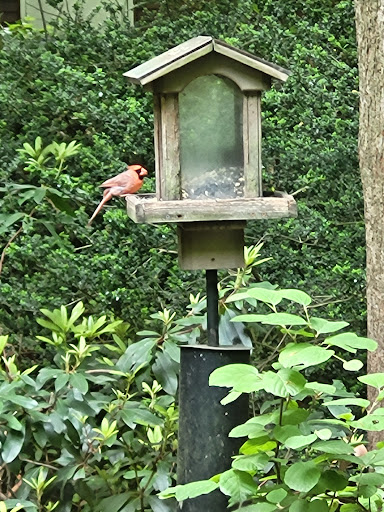 Nature Preserve «Briar Bush Nature Center», reviews and photos, 1212 Edge Hill Rd, Abington, PA 19001, USA