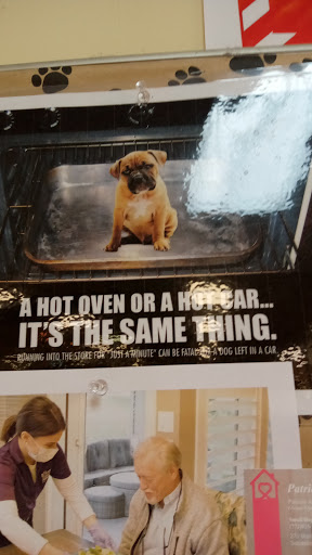 Pet Supply Store «Bark Avenue Pet Specialties», reviews and photos, 435 Sebastian Blvd, Sebastian, FL 32958, USA