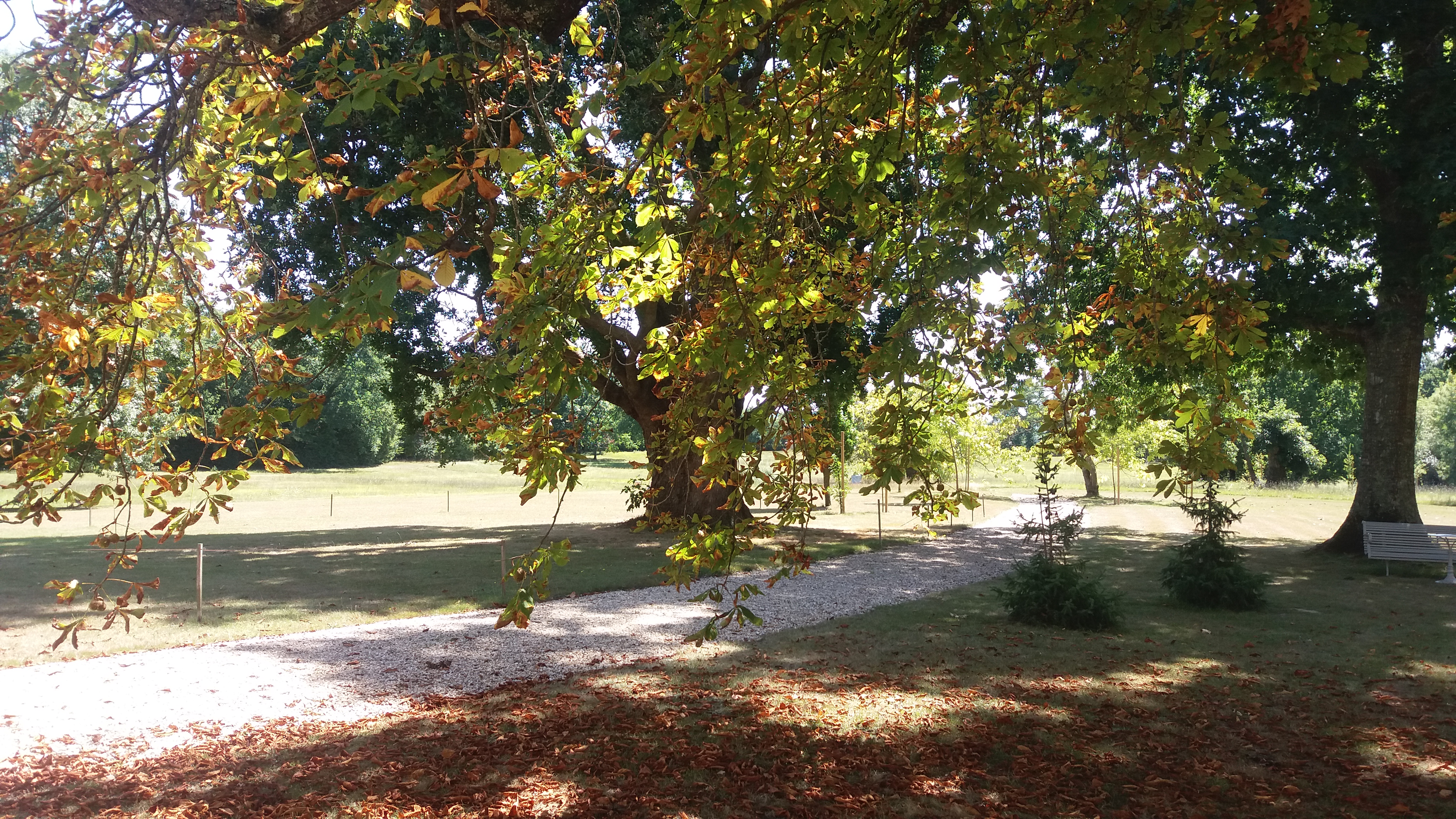 Photo n° 2 de l'avis de Tania.o fait le 20/08/2017 à 13:29