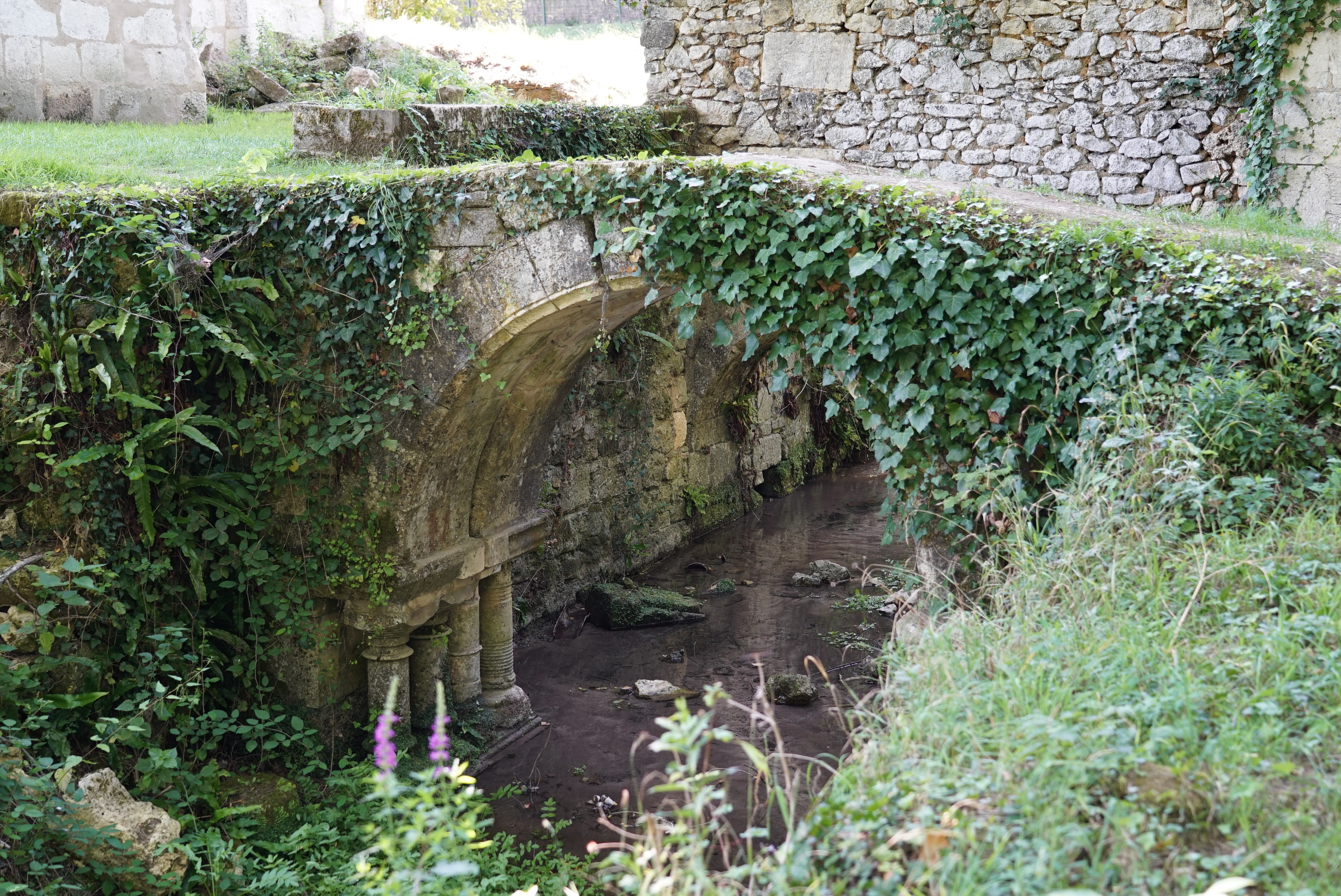 Photo n° 18 de l'avis de Yves.O fait le 29/08/2019 à 07:47