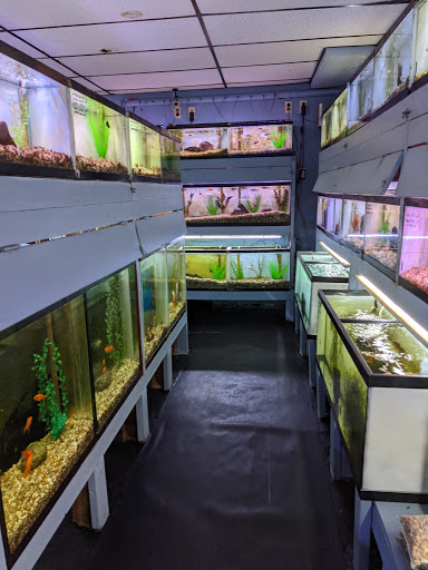 Hackettstown Pet Supplies, 141 Main St, Hackettstown, NJ 07840, USA, 