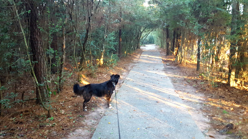 Park «Shadowbend Park», reviews and photos, 4192 Lake Woodlands Dr, The Woodlands, TX 77381, USA