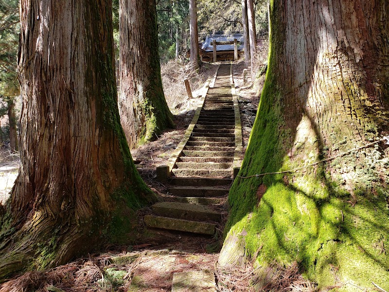 加蘇山神社の杉(市指定天然記念物)