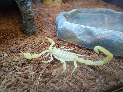 Pet Supply Store «Petco Animal Supplies», reviews and photos, 179 N Milwaukee St, Boise, ID 83704, USA