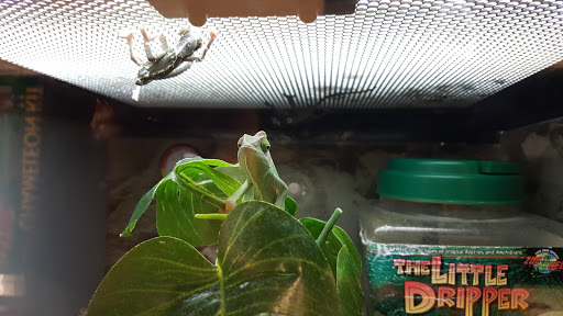 Pet Supply Store «Petco Animal Supplies», reviews and photos, 6761 Westminster Ave, Westminster, CA 92683, USA