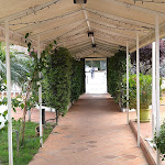 Photo n°3 de l'avis de Calogero.o fait le 03/05/2023 à 14:37 sur le  Casena dei Colli à Palermo