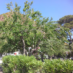 Photo n°3 de l'avis de Stefania.r fait le 03/06/2017 à 15:34 sur le  Mercure Vulcano Mari Del Sud Resort à Vulcano Porto