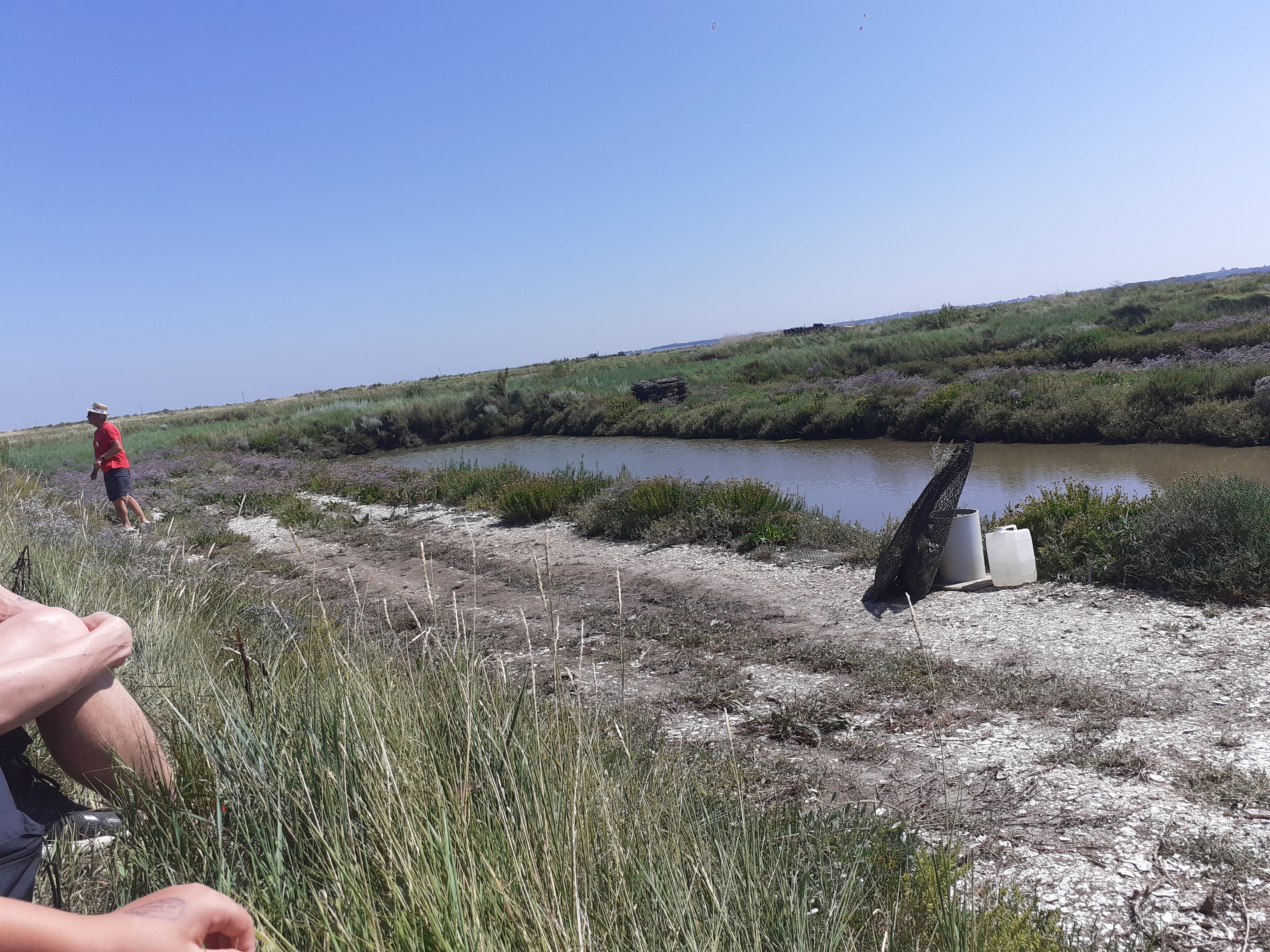 Photo n° 15 de l'avis de Guillaume,.� fait le 14/08/2021 à 05:22