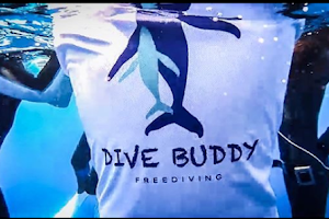 Dive Buddy 自由潛水工作室-AIDA&抹茶證照課程 image