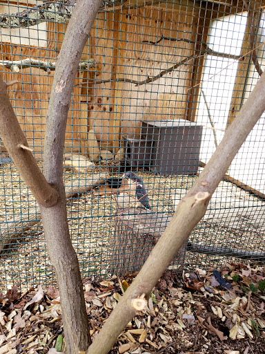 Zoo «Catoctin Wildlife Preserve and Zoo», reviews and photos, 13019 Catoctin Furnace Rd, Thurmont, MD 21788, USA