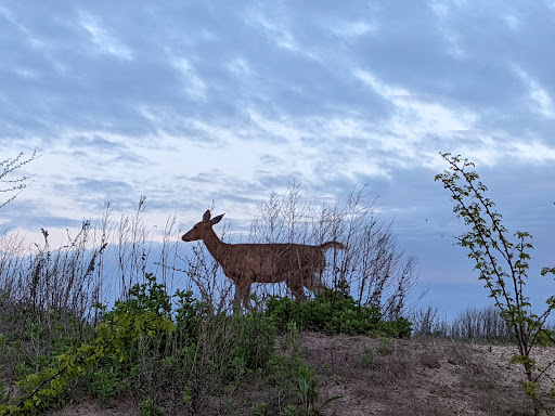 National Park «Great Kills Park», reviews and photos, 3270 Hylan Blvd, Staten Island, NY 10305, USA