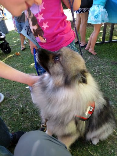 Park «Island Park», reviews and photos, 200 W B St, Springfield, OR 97477, USA