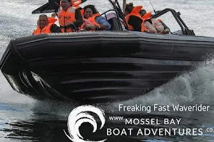 Mossel Bay Boat Adventures image