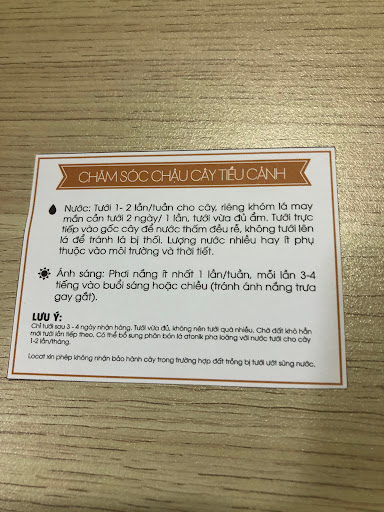 Top 20 cửa hàng cây kiểng Huyện Ba Vì Hà Nội 2022