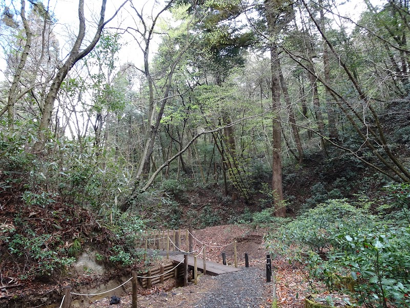 国指定天然記念物「青葉山」