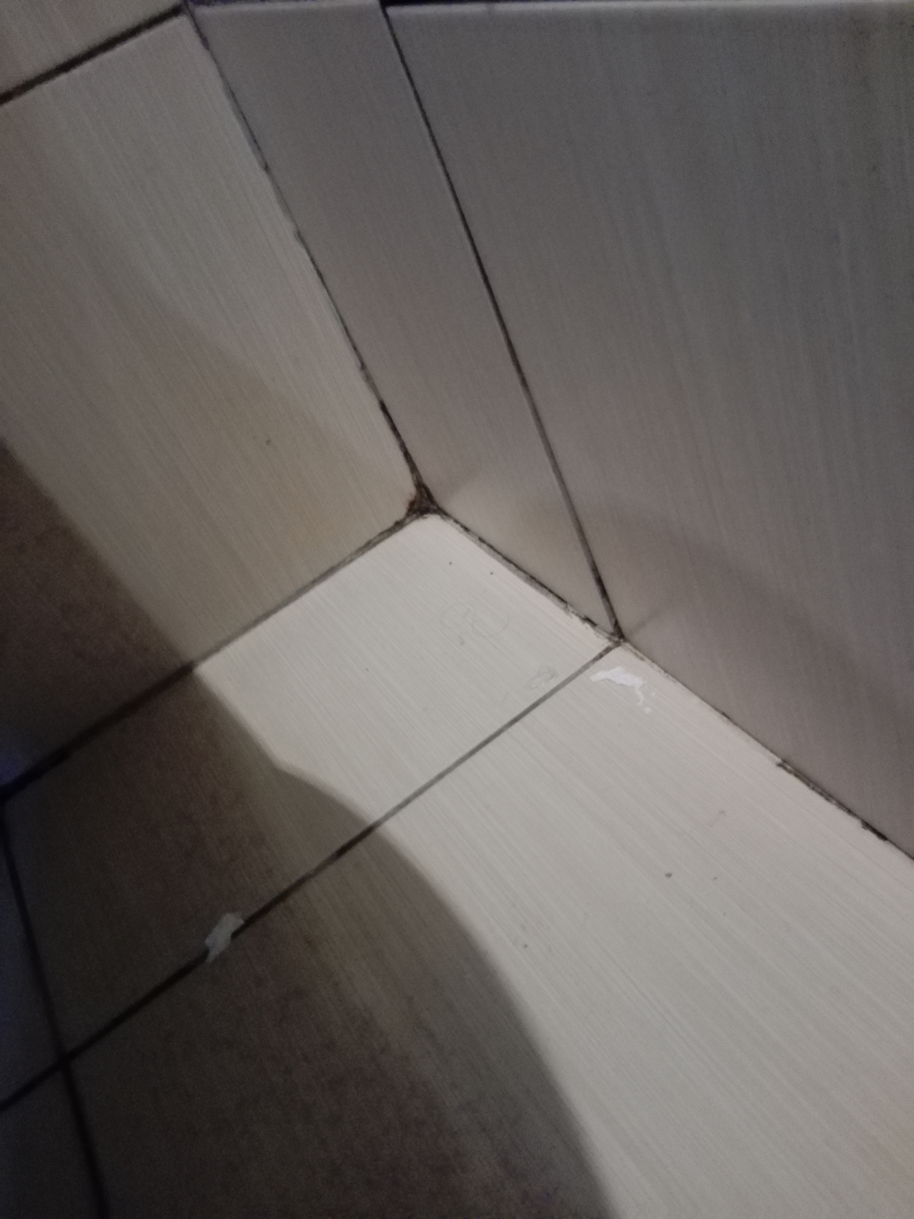 Photo n° 3 de l'avis de Etienne. fait le 23/11/2019 à 18:24