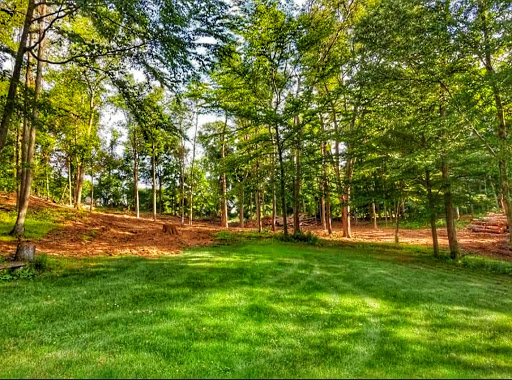 Excavating Contractor «Advanced Construction and Tree Removal & Advanced Landclearing», reviews and photos, 87 Boardman Rd, New Milford, CT 06776, USA