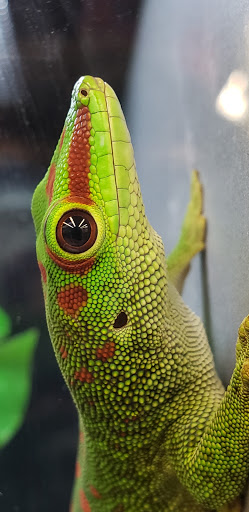 Pet Supply Store «Petco Animal Supplies», reviews and photos, 7400 Rivers Ave z, North Charleston, SC 29406, USA