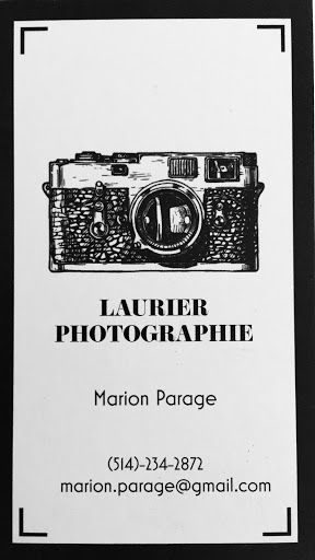 Laurier photographie