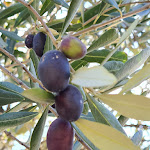 Photo n°3 de l'avis de Ute.c fait le 26/10/2021 à 13:04 sur le  Cafè Restaurant Unterweger à Tirol