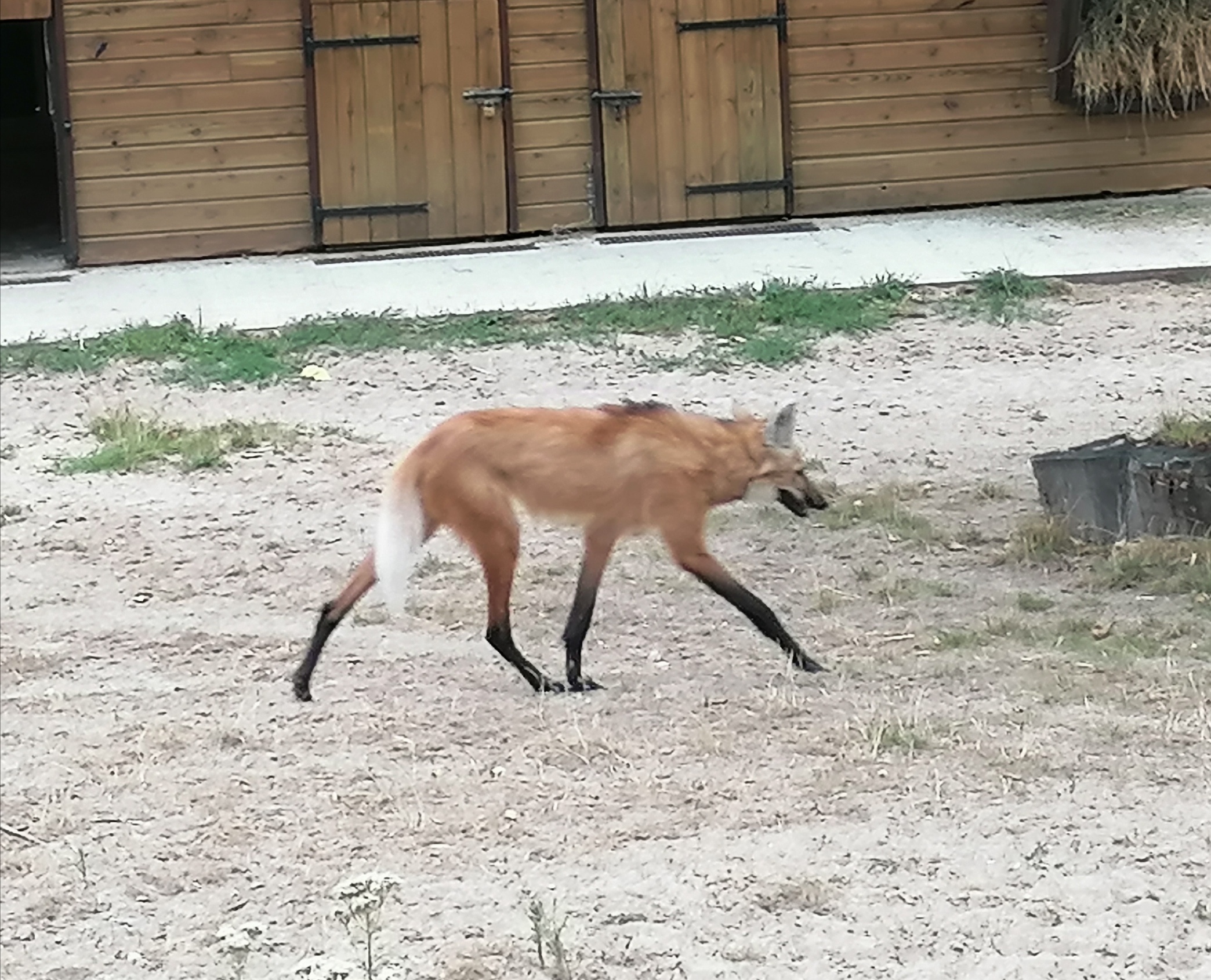 Photo n° 2 de l'avis de Laetitia.r fait le 24/08/2022 à 06:53