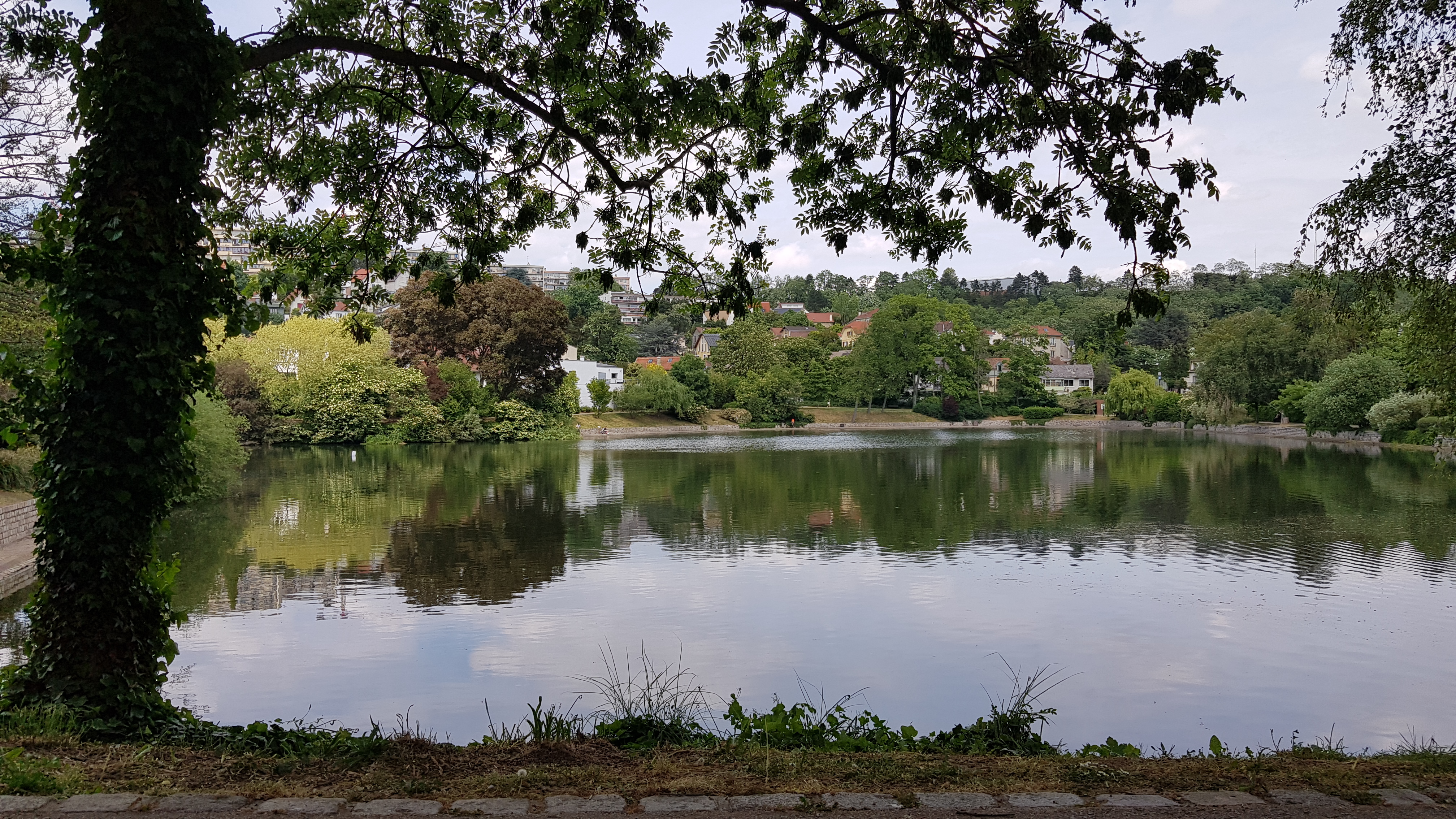 Photo n° 6 de l'avis de Coco.7 fait le 10/05/2022 à 19:34