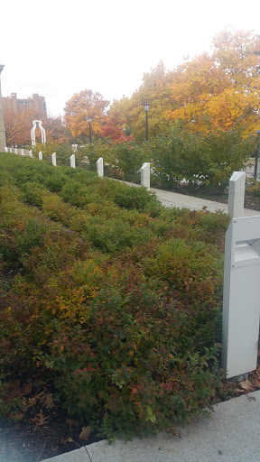 Ice Cream Shop «Cornell Dairy Bar», reviews and photos, 411 Tower Rd, Ithaca, NY 14853, USA