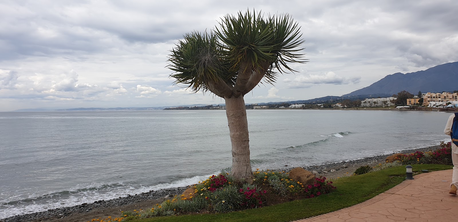 Foto de Playa Guadalmansa com meios de comunicação nível de limpeza