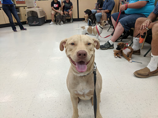 Pet Supply Store «PetSmart», reviews and photos, 6251 N Davis Hwy, Pensacola, FL 32504, USA