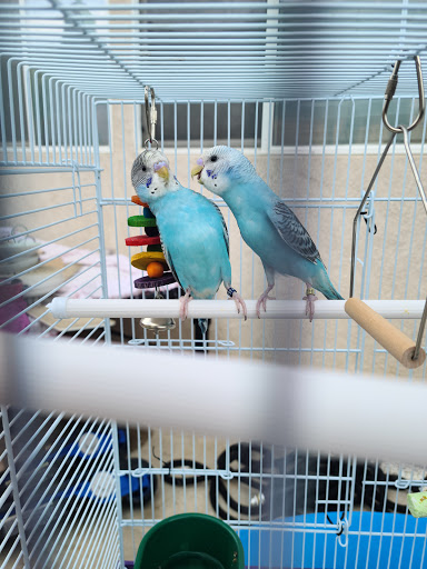 Pet Supply Store «Pet Factory», reviews and photos, 1837 E Gibson Rd # H, Woodland, CA 95776, USA