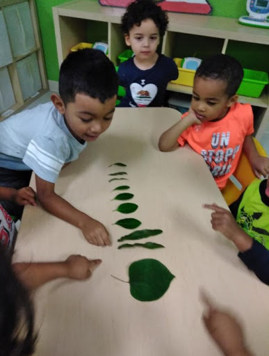 Preschool «Preschool Safari Kid Day Care», reviews and photos, 46839 Maple Leaf Pl #116, Sterling, VA 20164, USA