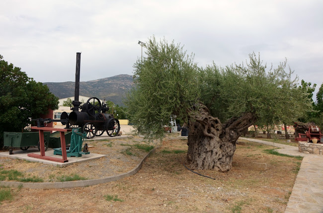 Επαγγελματικό Λύκειο Άστρους