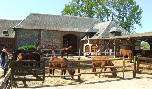 Centre équestre Ferme Equestre de Bois Guilbert Bois-Guilbert