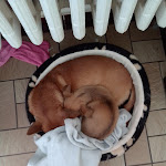 Photo n° 2 de l'avis de test.o fait le 14/10/2019 à 16:42 pour L'Arche Verte à Haucourt