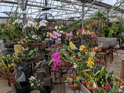 Plant Nursery «Sturtz & Copeland Florist & Greenhouses», reviews and photos, 2851 Valmont Rd, Boulder, CO 80301, USA