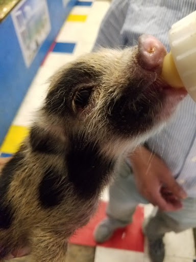 Movie Theater «Venture Cinema», reviews and photos, 3750 Venture Dr, Duluth, GA 30096, USA