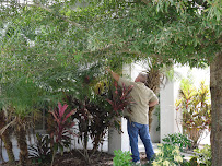 Safari Pest Control, LLC and Lawn Care - Photo 8 - Car repair in , Tampa