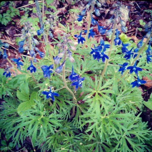 Park «Carter Park», reviews and photos, 1720 King Ave, Kings Mills, OH 45034, USA