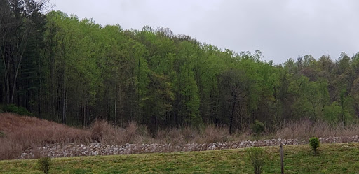 Golf Course «The Valley Links Course», reviews and photos, 8670 IN-56, French Lick, IN 47432, USA