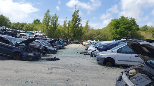 Photo 1 - Car Casse 44